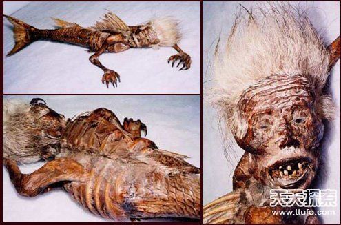 1962年活的美人鱼