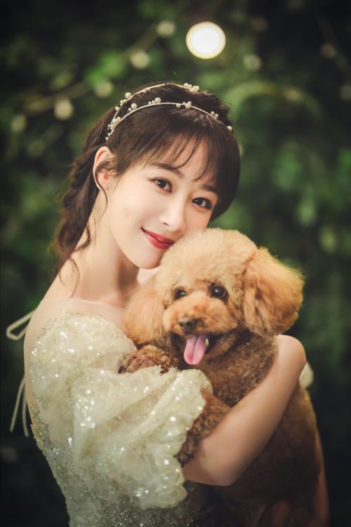 杨紫黑色v领丝绒裙