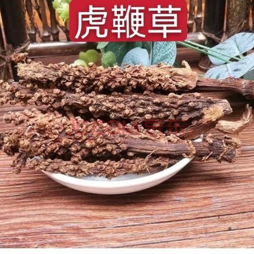 虎鞭草云南苗家特产顶天柱子孙草强劲草男性泡酒料 1颗样品装