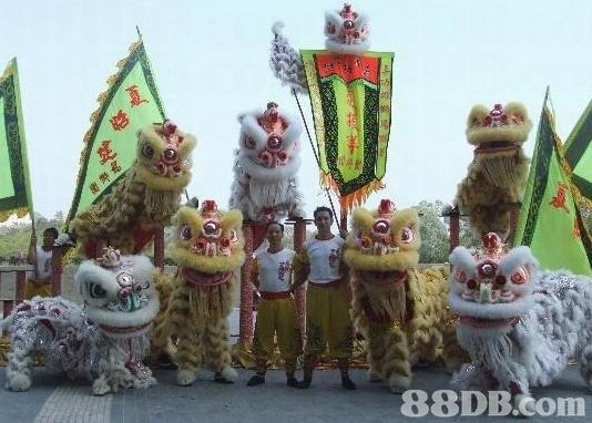 夏昭建金龙醒狮队彩龙,萤光夜龙,金狮银狮及各种颜色醒狮及鼓,锣,钗等