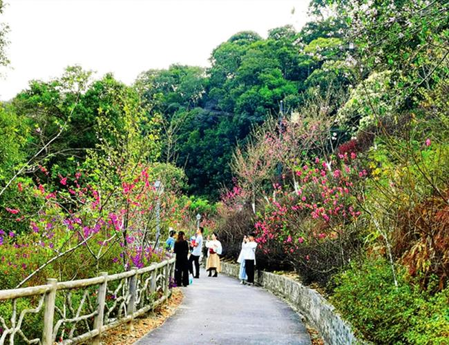 春节期间惠州乡村旅游火爆 大力推动乡村振兴