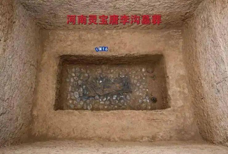为配合灵宝市绕城高速的建设,2020 年 8月起,三门峡市文物考古研究所
