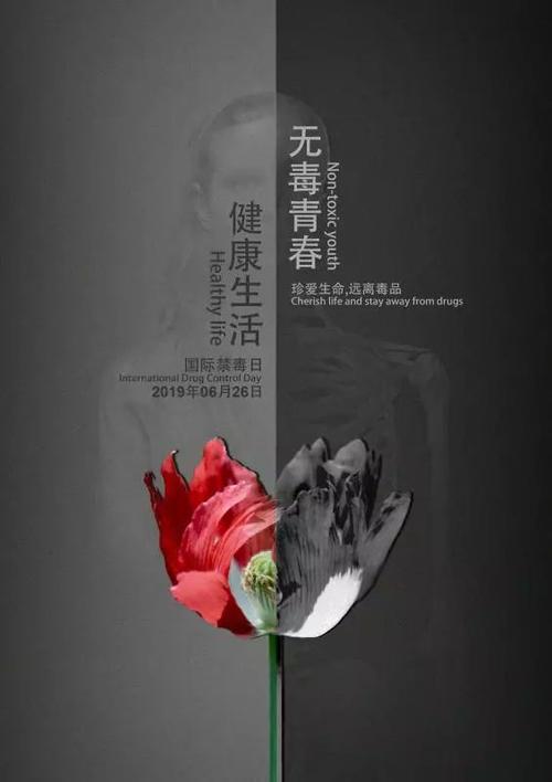 无毒青春健康生活禁毒海报设计评选活动