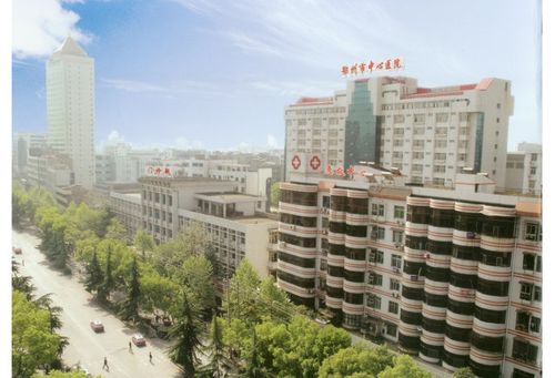 鄂州市中心医院举办健康义诊咨询活动