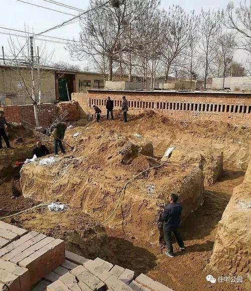 晒家丨河南李先生农村自建房七十岁父母亲手打造有花有菜农家小院