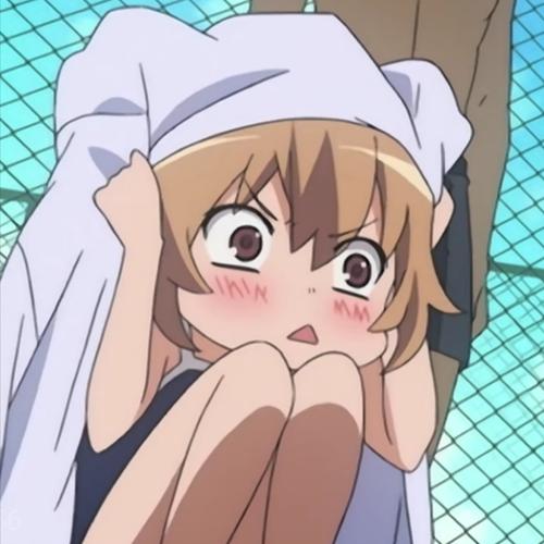 12逢坂大河头像表情包龙与虎