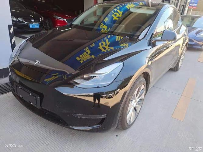 浙江金华21年5月特斯拉毛豆y