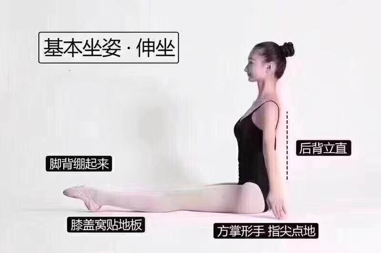 小天鹅舞蹈～微课堂