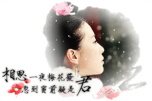 梅花泪