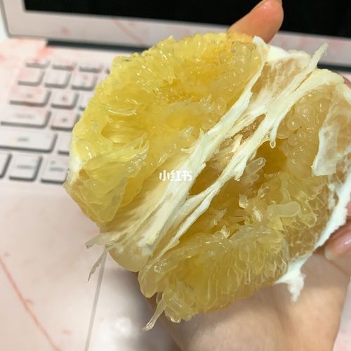 黄金葡萄柚