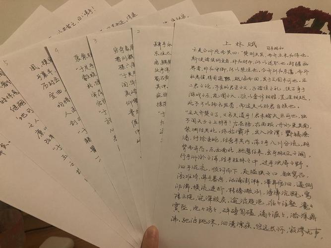 抄一遍上林赋