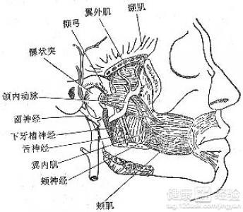 翼下颌间隙感染如何诊断鉴别