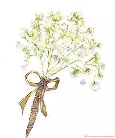 满天星-花瓣网|陪你做生活的设计师 | 水彩静物-满天星