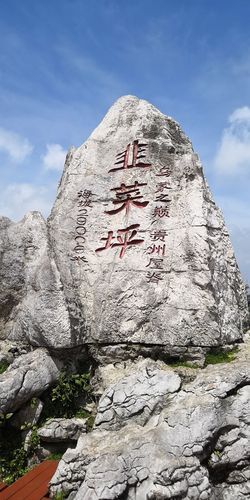 登贵州屋脊一一韭菜坪,看韭菜花
