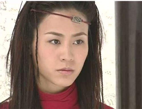 萱萱演过什么电视剧?