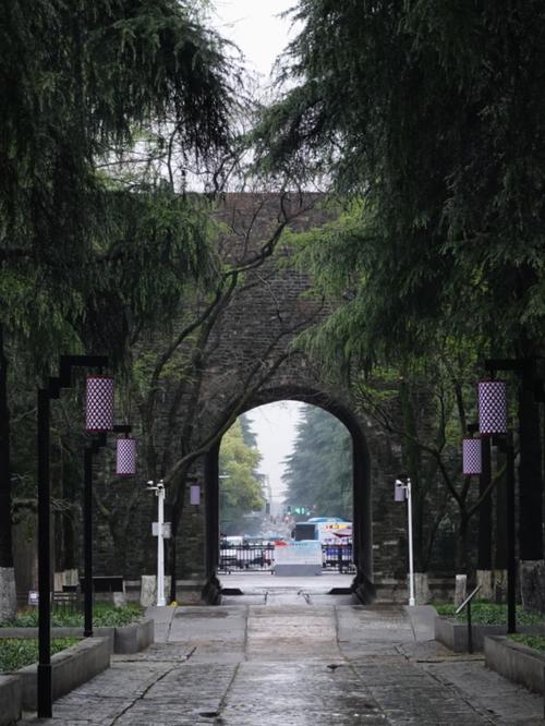 南京午朝门公园 带雨木绣球_午朝门公园_旅游攻略_暑假_历史_南京旅游