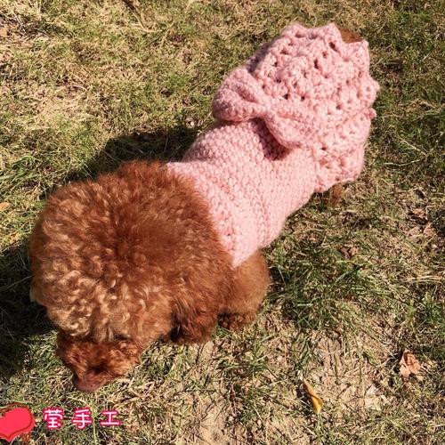 衣服视频材料狗狗迪比熊狗狗不是泰迪宠物编织毛线