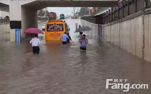 快来新余看海盘点新余几大涨水重灾区
