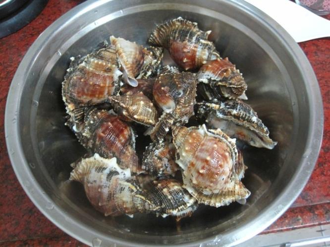 白灼刺螺做法大全,白灼刺螺怎么做好吃,白灼刺螺的