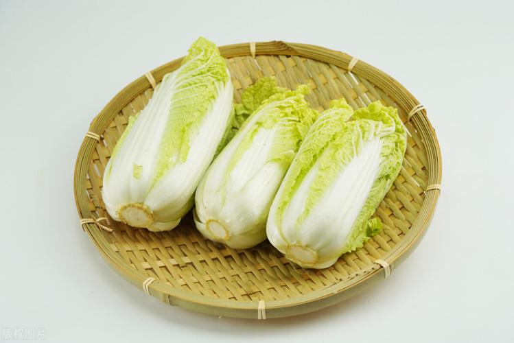 玉田大白菜.体形较长,头部尖,叶深绿.白菜界的"高挑美女".