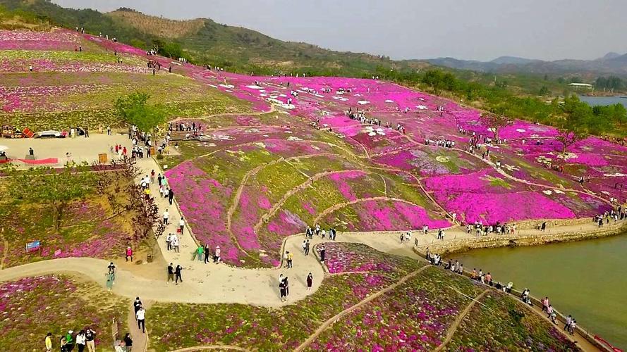 2020年五月行摄迁西雨花谷薰衣草庄园