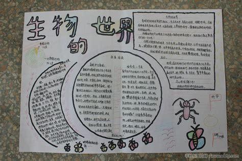 生物探索人类的起源手抄报 汉字的起源手抄报