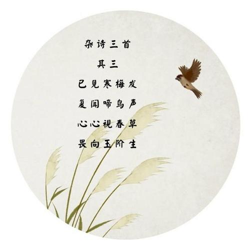 品读王维《杂诗》三首,语至淡而情至浓