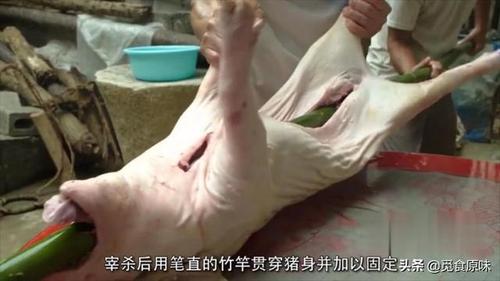 山黄皮烧猪   选取本地小猪,宰杀后用笔直的竹竿贯穿猪身并加以固定