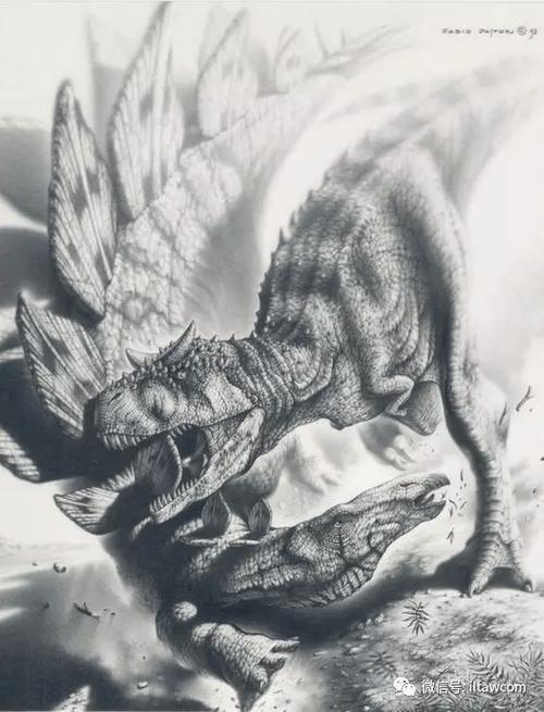 头上长角的凶猛肉食性恐龙食肉牛龙