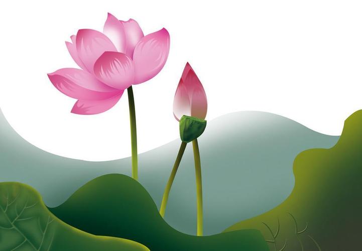 psd手绘荷花图片