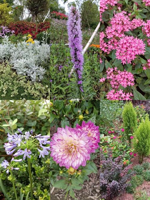 游览第十届中国花卉博览会_景点_花卉_中国花卉博览园