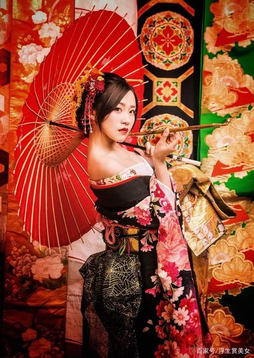 菊花与刀——日本艺妓风格的美女