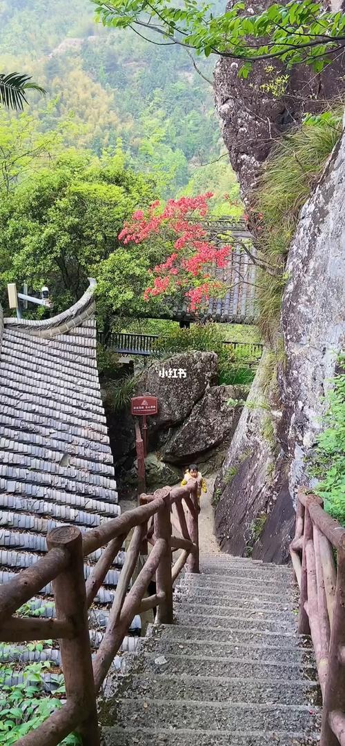 丽水景宁的这条徒步路线,挺适合带娃_徒步_带娃_丽水_野餐_云中大漈