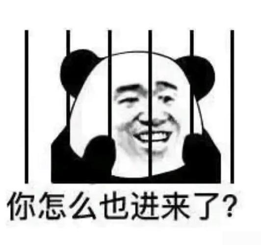 很搞笑的一组罪犯恶搞表情包你这么也进来了我因为太帅被关了