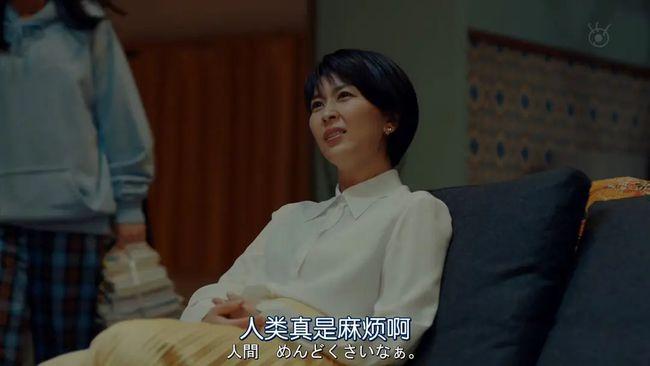 91今年最治愈的日剧诞生