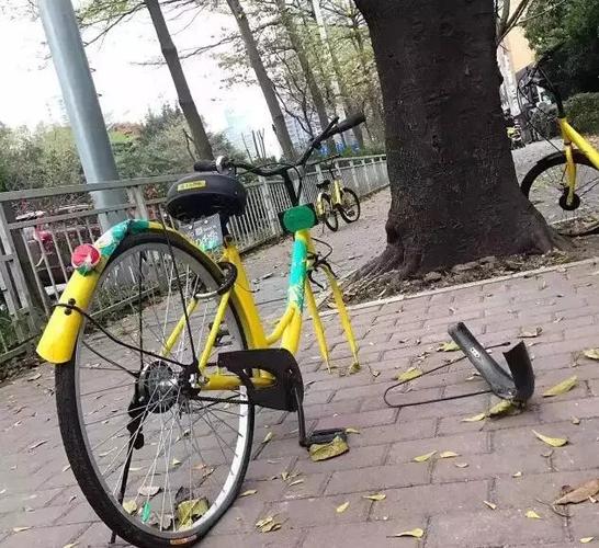 乱摔!猛踹!昨夜,一男子破坏共享单车,居然因为这个.