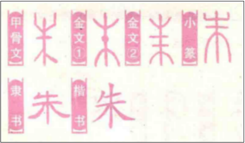 "朱"的甲骨文,金文,小篆,隶书,楷书