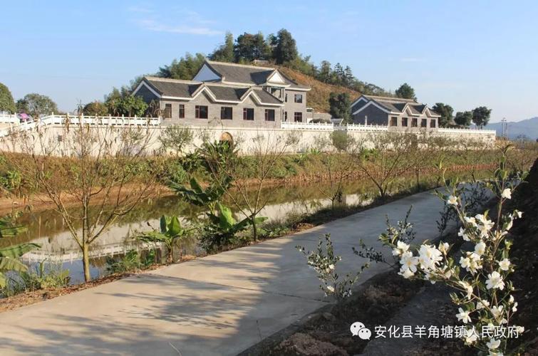 瞿海一行到羊角塘镇观摩油茶产业示范区建设项目_安化