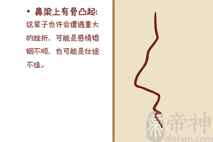 生性偏激,喜欢感情用事的驼峰鼻面相分析