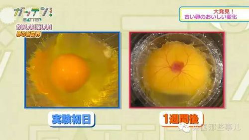 鸡蛋本身就是一个大型卵细胞. 蛋壳基本只起保护作用.