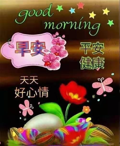 早上好!