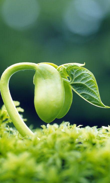 人生,总会有不期而遇的温暖,和生生不息的希望.