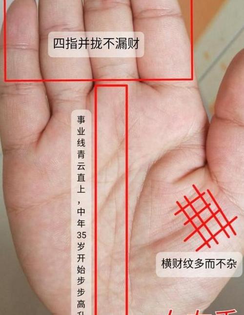 从手相看财运你会财运亨通吗