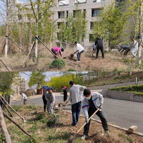 清洁校园 我行动 义务劳动 做表率——后勤管理处直属党支部开展主题