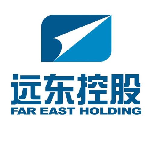 远东控股集团有限公司
