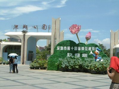 转载深圳洪湖公园人工湿地