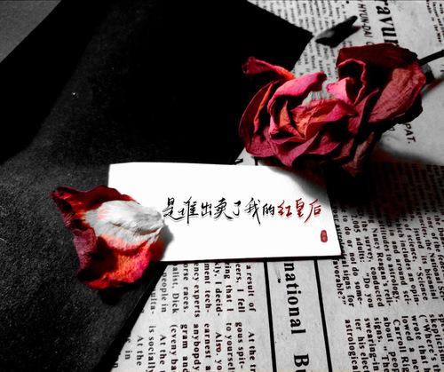 闻劭这个男人真的危险又致命还t.