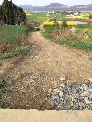 梓潼县许州镇联合村与燎原村的地届之间,到现在都还是