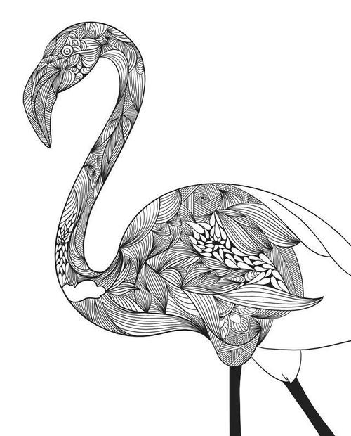 线描动物火烈鸟,简单的线条,画完太好看了