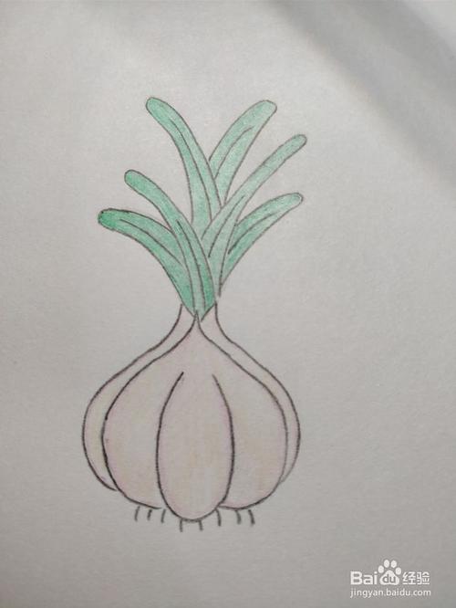 还有画了漂亮的蒜苗